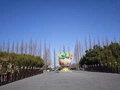 -黄海国家森林公园