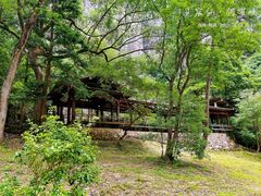 -楠溪江石桅岩