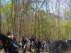 -帽儿山风景区