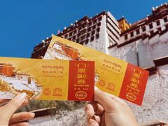 -布达拉宫
