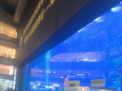 -成都浩海立方海洋公园