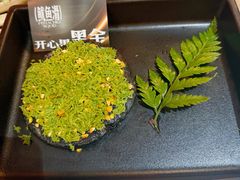 -朱光玉火锅馆(龙阳广场店)