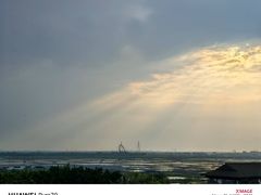 -大湾区中央湿地公园