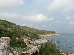 -广东惠东海龟国家级自然保护区