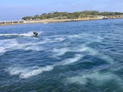 -小麦岛公园