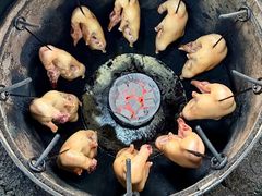 -杨震卤菜旗舰店