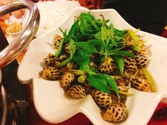 -Draft Beer Restaurant & Bar