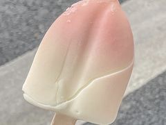 -成裕雪糕店(士多店)