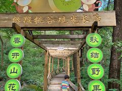 -大岭沟猕猴桃谷风景区