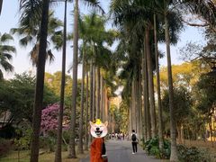 -华南国家植物园-售票处