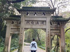 -峨眉山报国寺