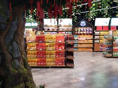 -三只松鼠(北美N1店)