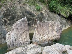 -广州白江湖森林公园