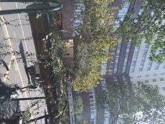 iphone_upload_pic-上海市第四人民医院