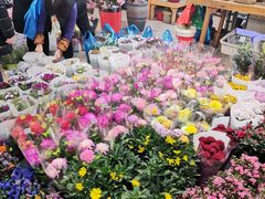 -双季花艺园艺市场(浦东店)