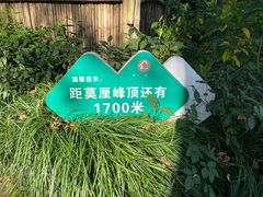 -雨花胜境