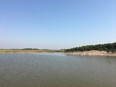 -南大港湿地风景区
