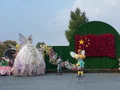 -荷兰花海
