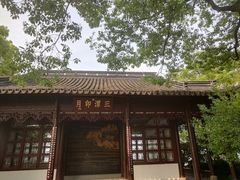 -西湖外事游船(花港观鱼码头)