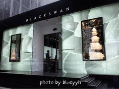 -BLACKSWAN黑天鹅(环球店)