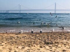 -星海湾跨海大桥