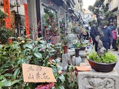 -苏州市皮市街花鸟工艺品市场