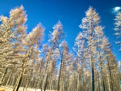 -塞罕坝国家级自然保护区