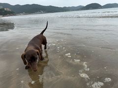 -东海半边山旅游度假区