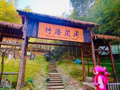 -宁波浙东大竹海景区