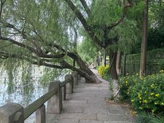 -运河游船(武林门码头)