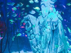 -沈阳海洋探索中心