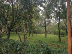 -眉山湿地公园(东坡区)