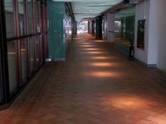 android_upload_pic-香港大学