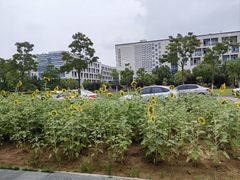 -安徽大学(磬苑校区)
