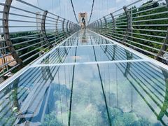 -客天下恐龙水晶玻璃桥