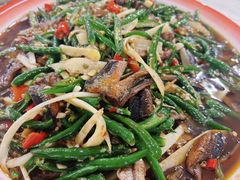 -东吴霸王兔(松青路店)