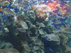 -成都浩海立方海洋公园