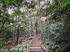 -广州市白云山风景名胜区