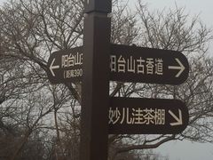 -阳台山自然风景区