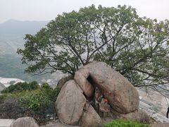 -青芝山风景名胜区