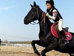 -月河湾马术俱乐部(朝阳店)