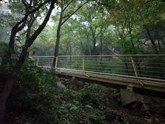 -沣峪森林公园龙潭戏水景区