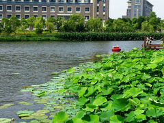 android_upload_pic-上海海洋大学(临港校区)