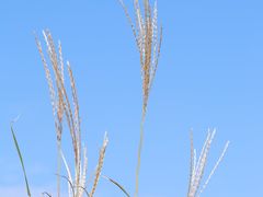 -大连金石滩滨海国家地质公园