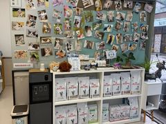 -爱妮康宠物医院·干细胞免疫细胞·肿瘤·心脏(张江店)