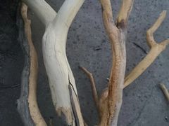 -兰陵国家农业公园