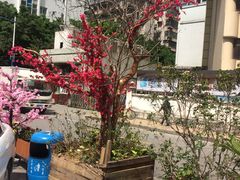 -289艺术PARK