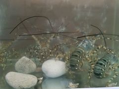 -QQ海鲜餐厅