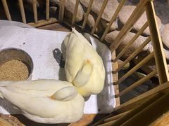 -馬蘭花開(车站大道店)