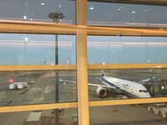 -全日本空输株式会社(上海办事处)